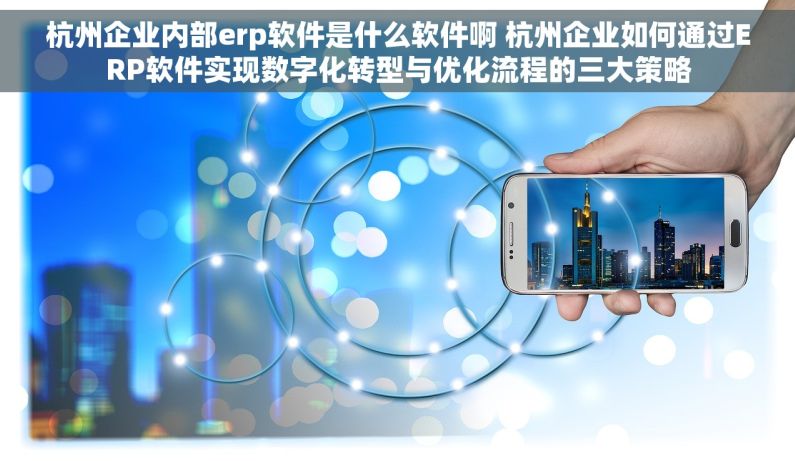 杭州企业内部erp软件是什么软件啊 杭州企业如何通过ERP软件实现数字化转型与优化流程的三大策略