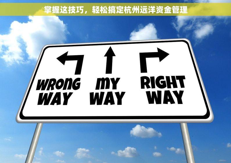 掌握这技巧，轻松搞定杭州远洋资金管理