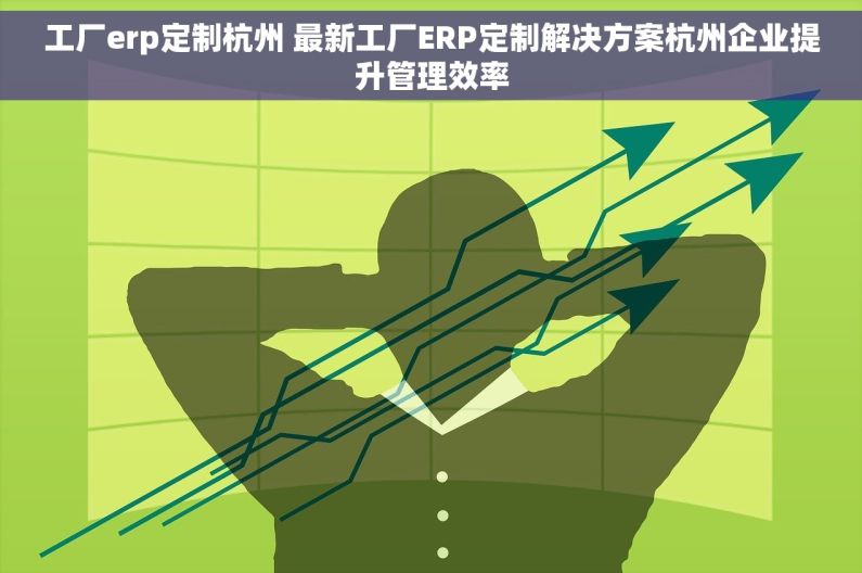 工厂erp定制杭州 最新工厂ERP定制解决方案杭州企业提升管理效率