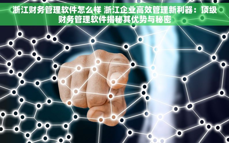 浙江财务管理软件怎么样 浙江企业高效管理新利器：顶级财务管理软件揭秘其优势与秘密
