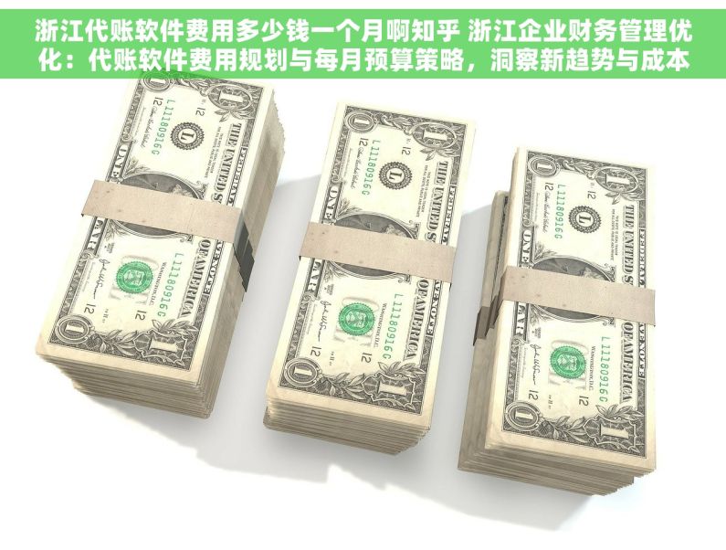 浙江代账软件费用多少钱一个月啊知乎 浙江企业财务管理优化：代账软件费用规划与每月预算策略，洞察新趋势与成本节约之道