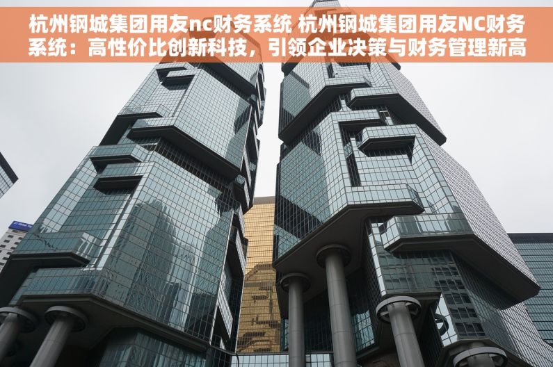 杭州钢城集团用友nc财务系统 杭州钢城集团用友NC财务系统：高性价比创新科技，引领企业决策与财务管理新高度