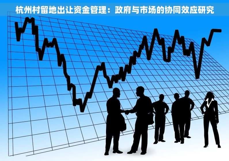 杭州村留地出让资金管理：政府与市场的协同效应研究