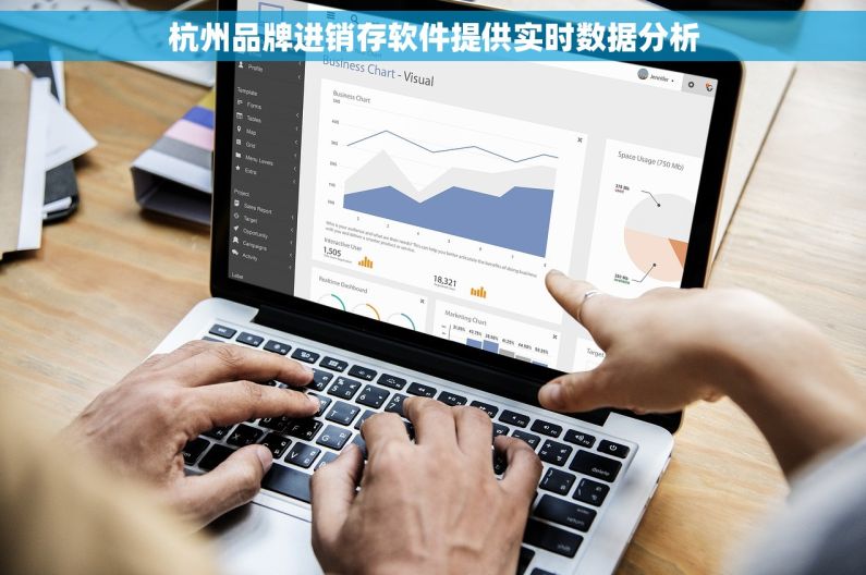 杭州品牌进销存软件提供实时数据分析