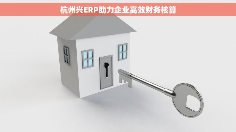 杭州兴ERP助力企业高效财务核算