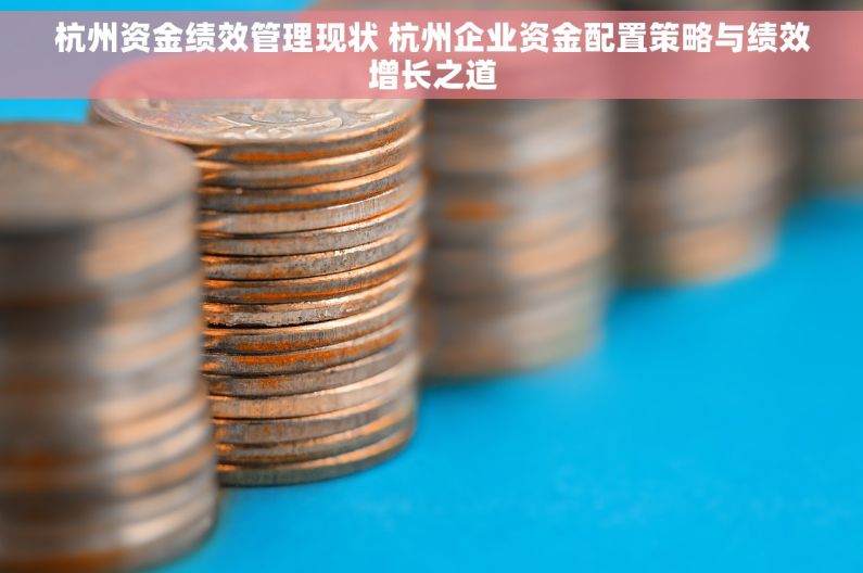 杭州资金绩效管理现状 杭州企业资金配置策略与绩效增长之道
