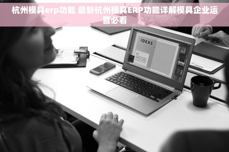 杭州模具erp功能 最新杭州模具ERP功能详解模具企业运营必看