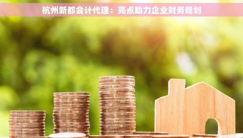 杭州新都会计代理：亮点助力企业财务规划