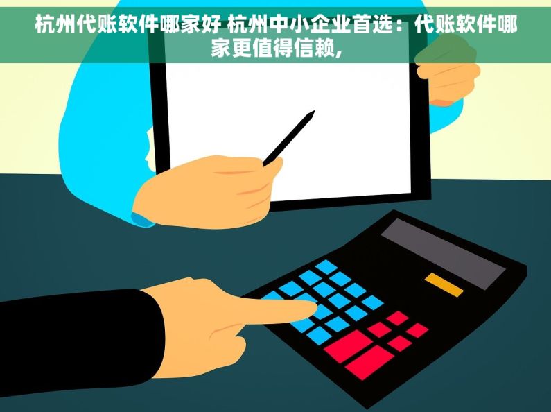 杭州代账软件哪家好 杭州中小企业首选：代账软件哪家更值得信赖,
