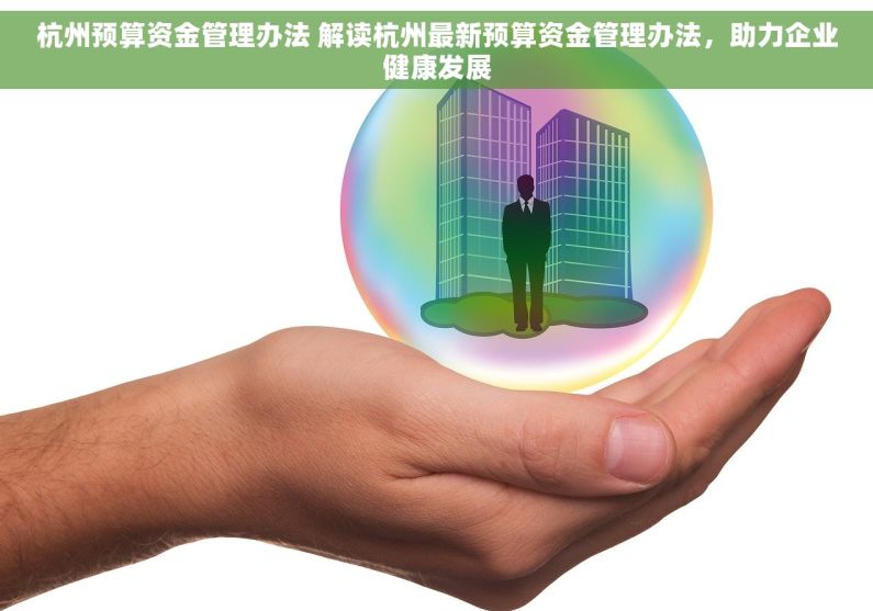 杭州预算资金管理办法 解读杭州最新预算资金管理办法，助力企业健康发展