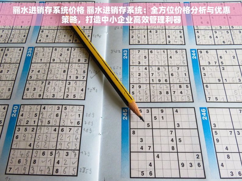 丽水进销存系统价格 丽水进销存系统：全方位价格分析与优惠策略，打造中小企业高效管理利器