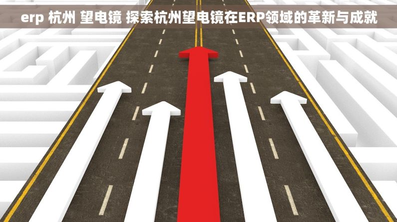 erp 杭州 望电镜 探索杭州望电镜在ERP领域的革新与成就