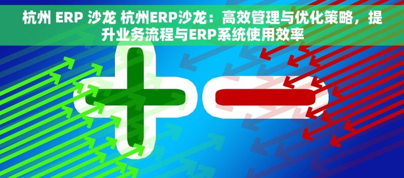 杭州 ERP 沙龙 杭州ERP沙龙：高效管理与优化策略，提升业务流程与ERP系统使用效率