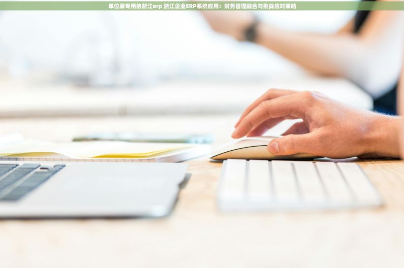 单位装专用的浙江erp 浙江企业ERP系统应用：财务管理融合与挑战应对策略