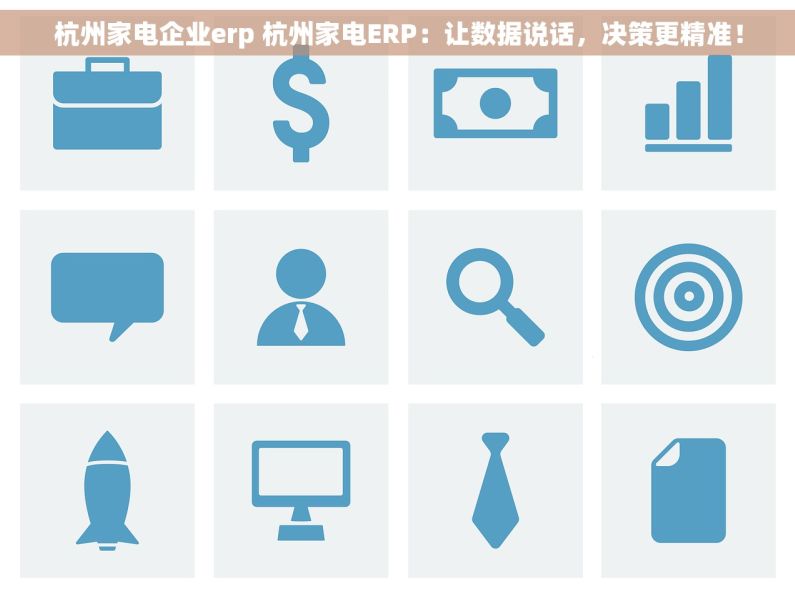 杭州家电企业erp 杭州家电ERP：让数据说话，决策更精准！