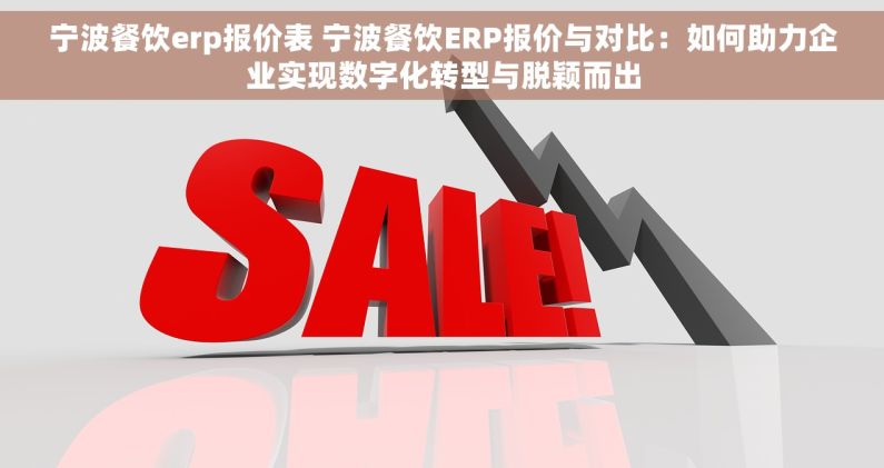 宁波餐饮erp报价表 宁波餐饮ERP报价与对比：如何助力企业实现数字化转型与脱颖而出