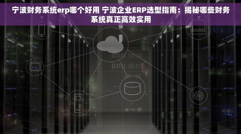 宁波财务系统erp哪个好用 宁波企业ERP选型指南：揭秘哪些财务系统真正高效实用