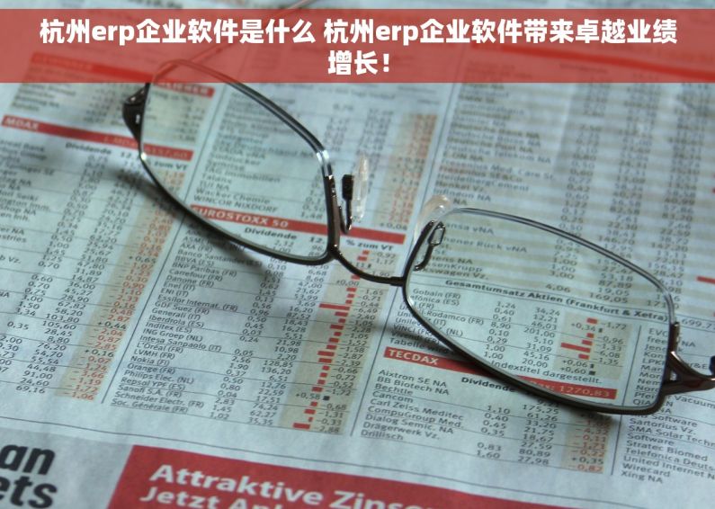 杭州erp企业软件是什么 杭州erp企业软件带来卓越业绩增长！