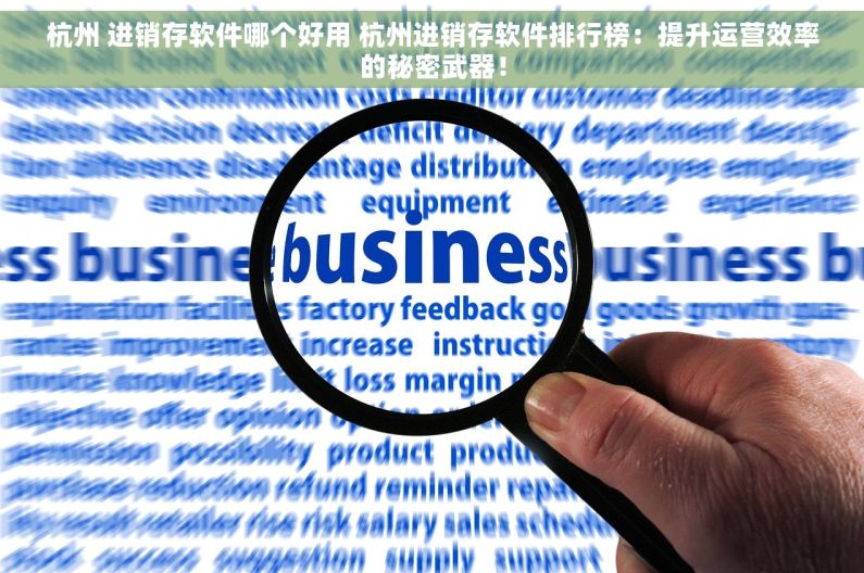 杭州 进销存软件哪个好用 杭州进销存软件排行榜：提升运营效率的秘密武器！