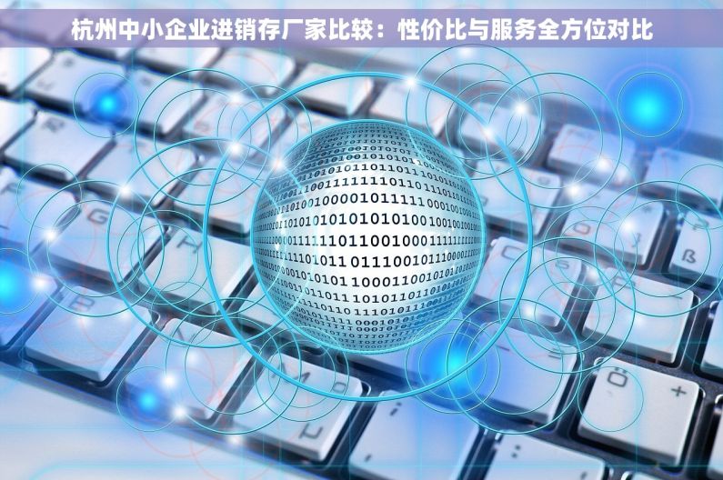 杭州中小企业进销存厂家比较：性价比与服务全方位对比