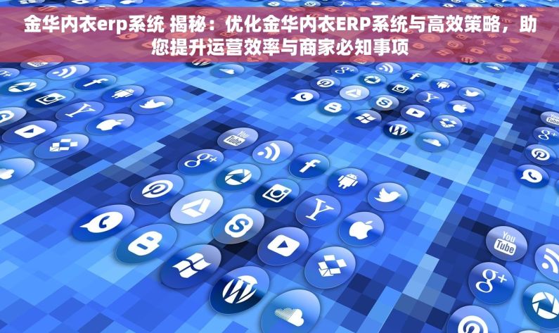 金华内衣erp系统 揭秘：优化金华内衣ERP系统与高效策略，助您提升运营效率与商家必知事项