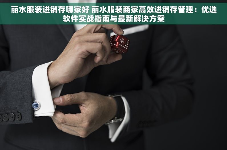 丽水服装进销存哪家好 丽水服装商家高效进销存管理：优选软件实战指南与最新解决方案