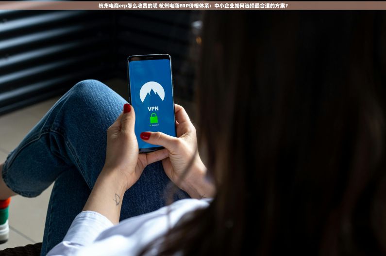 杭州电商erp怎么收费的呢 杭州电商ERP价格体系：中小企业如何选择最合适的方案？