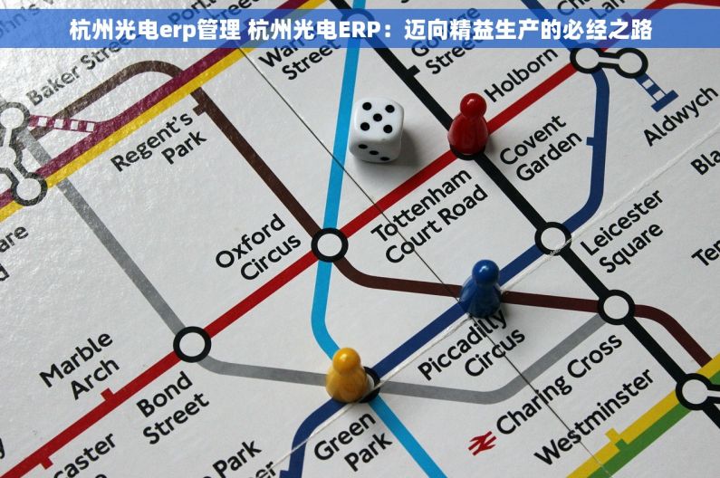 杭州光电erp管理 杭州光电ERP：迈向精益生产的必经之路