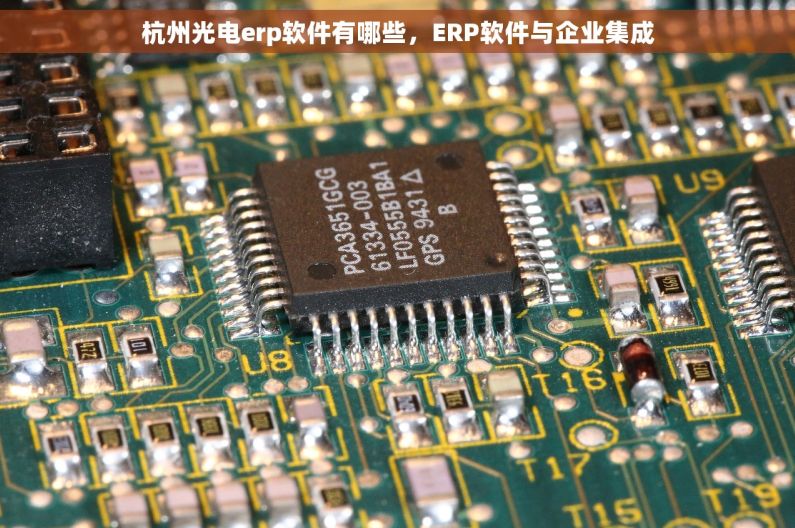 杭州光电erp软件有哪些，ERP软件与企业集成
