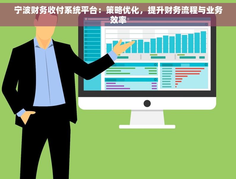 宁波财务收付系统平台：策略优化，提升财务流程与业务效率