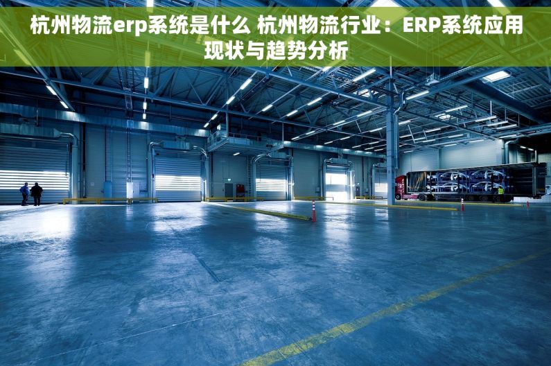 杭州物流erp系统是什么 杭州物流行业：ERP系统应用现状与趋势分析