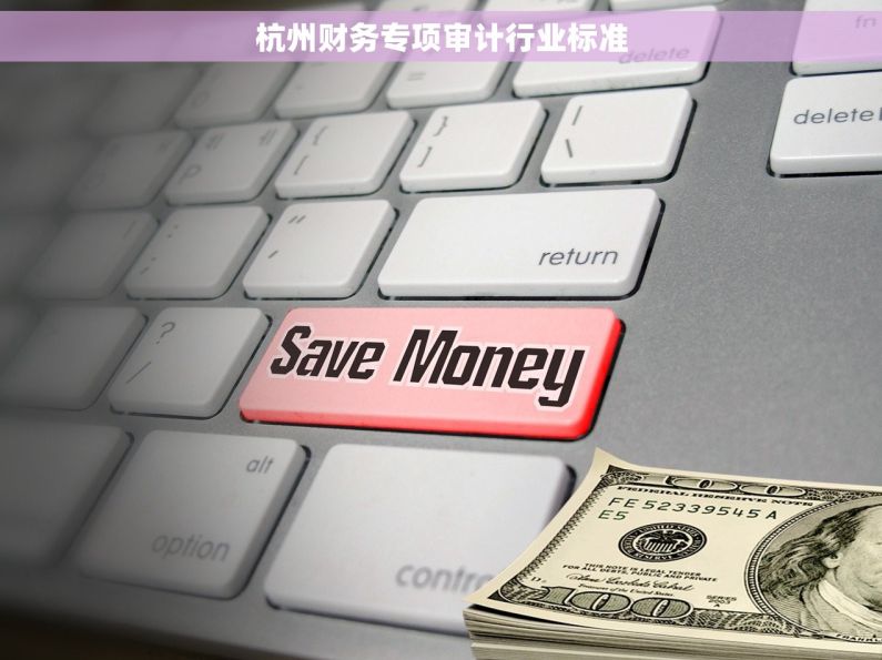 杭州财务专项审计行业标准