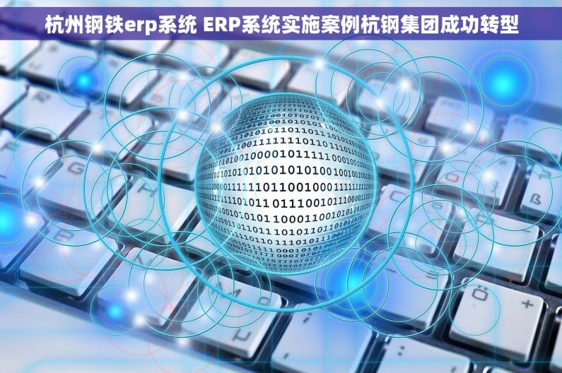 杭州钢铁erp系统 ERP系统实施案例杭钢集团成功转型
