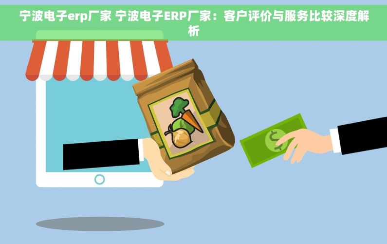 宁波电子erp厂家 宁波电子ERP厂家：客户评价与服务比较深度解析