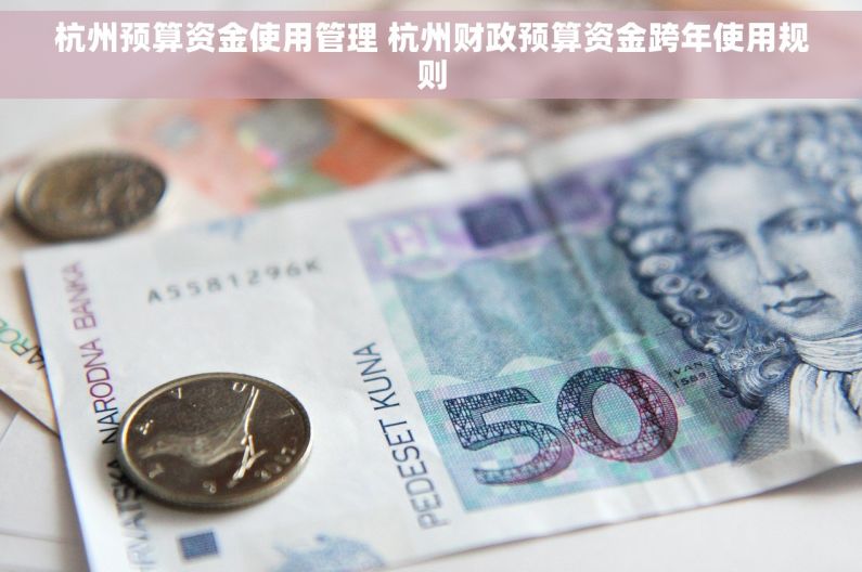 杭州预算资金使用管理 杭州财政预算资金跨年使用规则