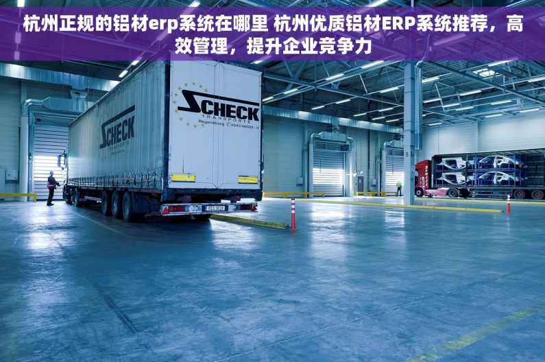 杭州正规的铝材erp系统在哪里 杭州优质铝材ERP系统推荐，高效管理，提升企业竞争力