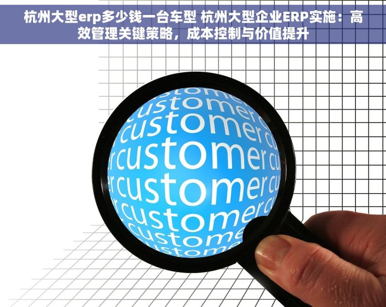 杭州大型erp多少钱一台车型 杭州大型企业ERP实施：高效管理关键策略，成本控制与价值提升