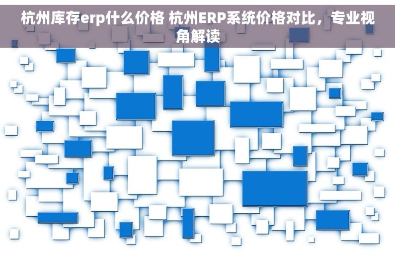 杭州库存erp什么价格 杭州ERP系统价格对比，专业视角解读