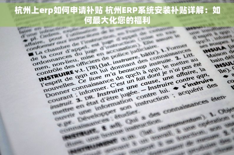 杭州上erp如何申请补贴 杭州ERP系统安装补贴详解：如何最大化您的福利