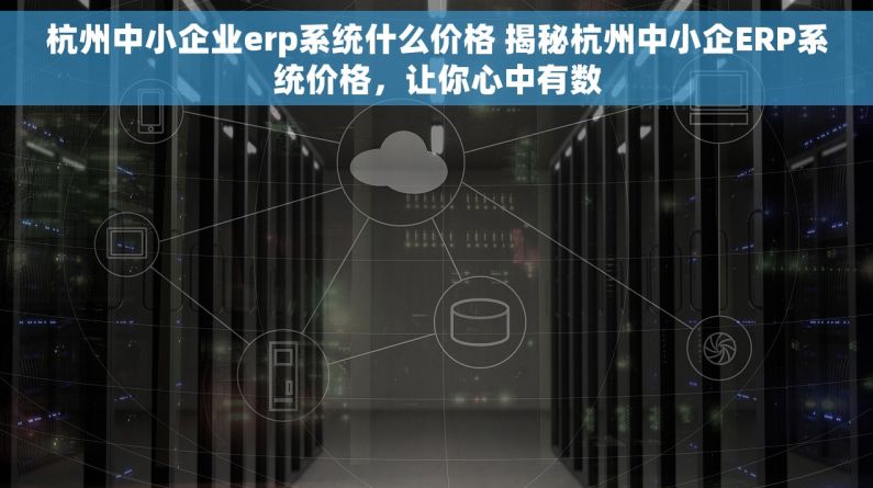 杭州中小企业erp系统什么价格 揭秘杭州中小企ERP系统价格，让你心中有数