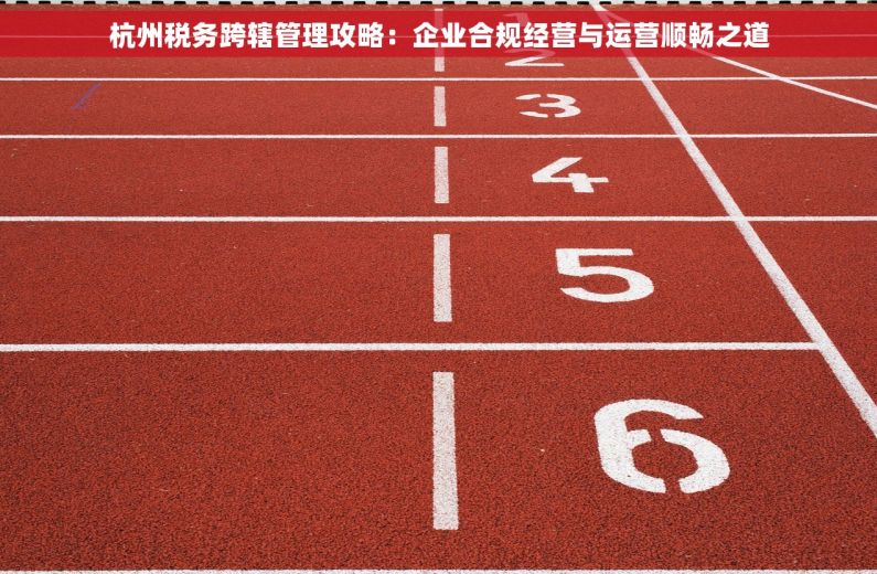 杭州税务跨辖管理攻略：企业合规经营与运营顺畅之道