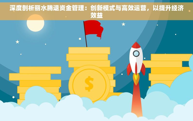 深度剖析丽水腾退资金管理：创新模式与高效运营，以提升经济效益