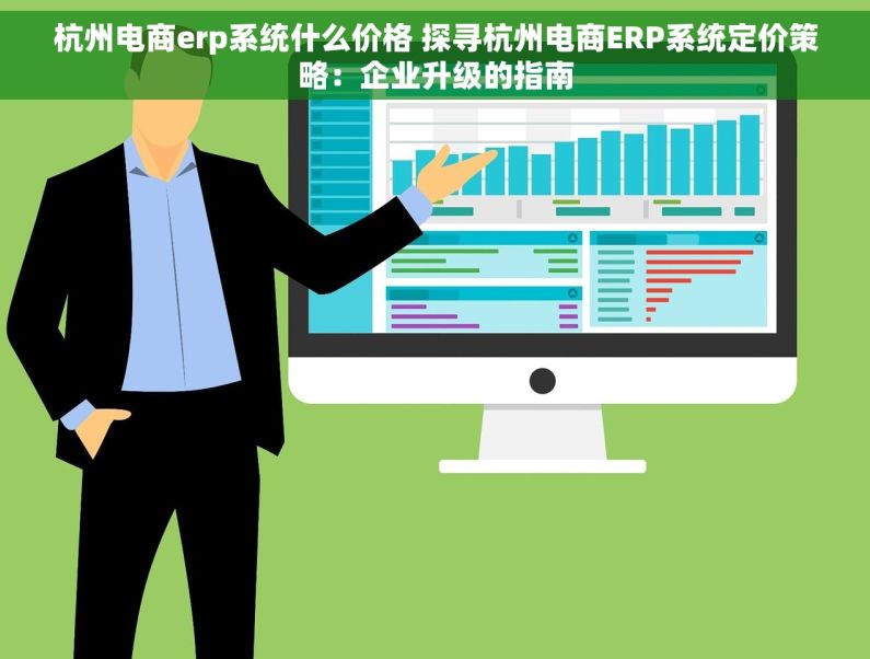 杭州电商erp系统什么价格 探寻杭州电商ERP系统定价策略：企业升级的指南