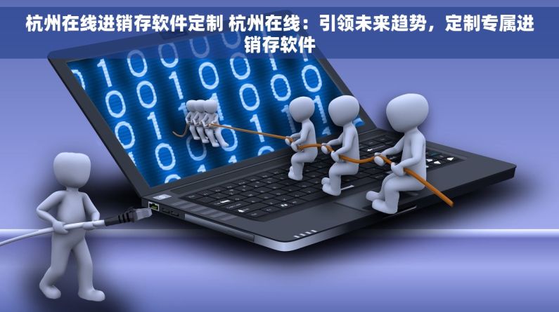 杭州在线进销存软件定制 杭州在线：引领未来趋势，定制专属进销存软件
