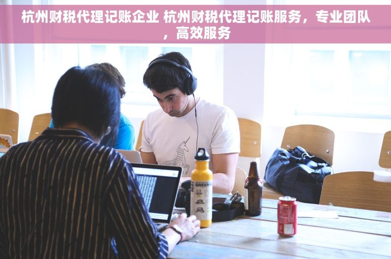 杭州财税代理记账企业 杭州财税代理记账服务，专业团队，高效服务