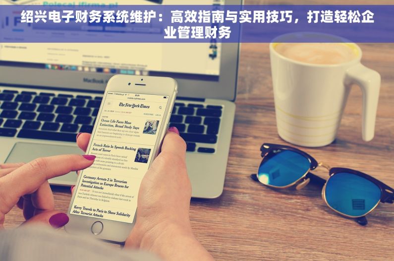 绍兴电子财务系统维护：高效指南与实用技巧，打造轻松企业管理财务