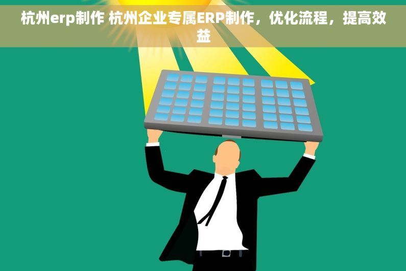 杭州erp制作 杭州企业专属ERP制作，优化流程，提高效益