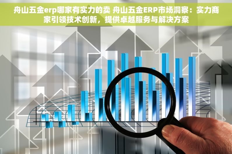 舟山五金erp哪家有实力的卖 舟山五金ERP市场洞察：实力商家引领技术创新，提供卓越服务与解决方案