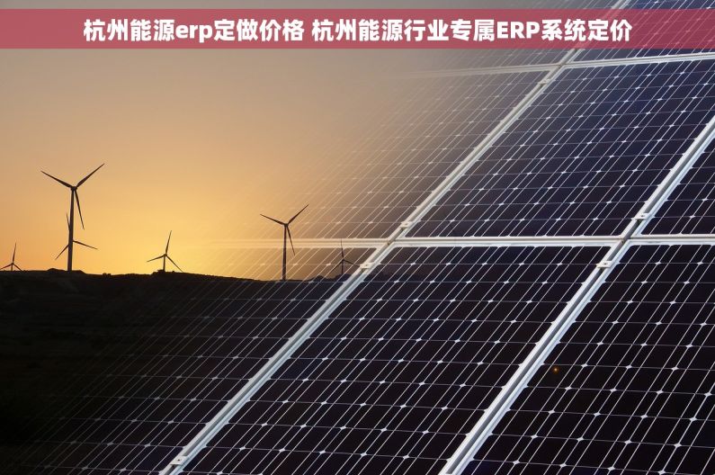 杭州能源erp定做价格 杭州能源行业专属ERP系统定价