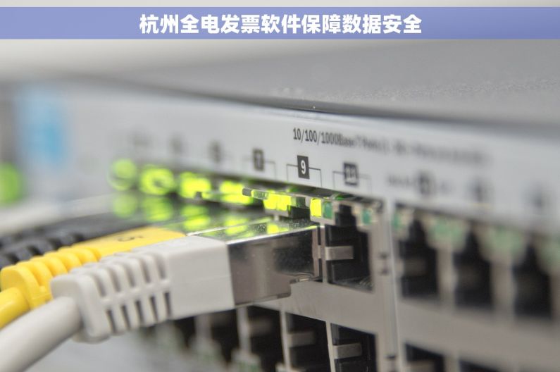 杭州全电发票软件保障数据安全